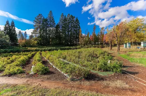 Undisclosed, Grass Valley, CA 95945 photo 27