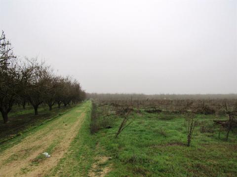 5667 E Grayson Rd, Hughson, CA 95326 photo 7