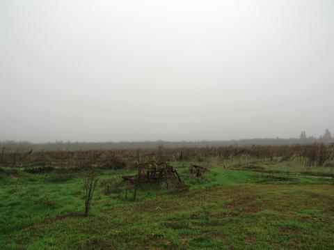 5667 E Grayson Rd, Hughson, CA 95326 photo 8