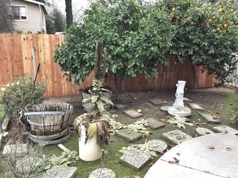 1111 Myrtle St, Turlock, CA 95380 photo 22