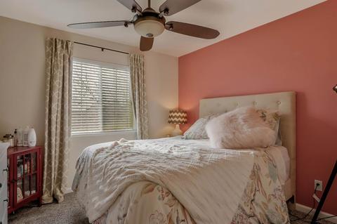 283 Tannehill Dr, Manteca, CA 95337 photo 20