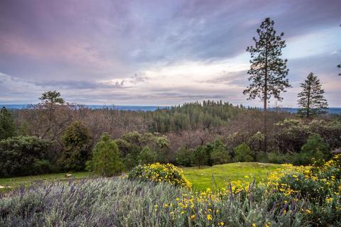 400 Ponderosa Hts, Applegate, CA 95703 photo 32