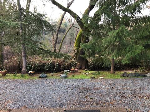 4267 S East Rd, Placerville, CA 95667 photo 19