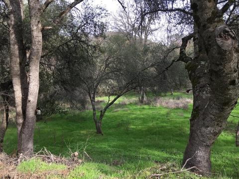 563 Barretta 92 Parcel St, Sonora, CA 95370 photo 3