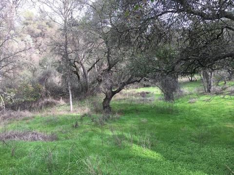 563 Barretta 92 Parcel St, Sonora, CA 95370 photo 2