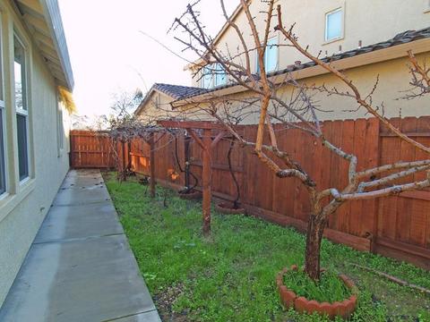 4025 Enclave Dr, Turlock, CA 95382 photo 23