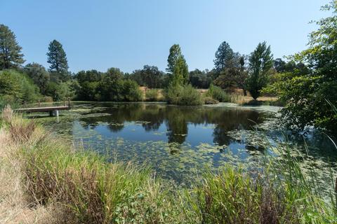 1141 Persimmon Ln, Placerville, CA 95667 photo 22