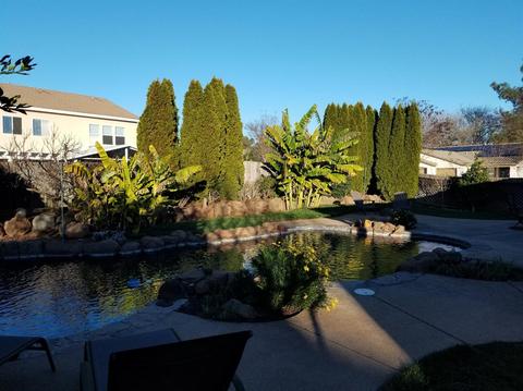 4400 Dusham Cir, Mather, CA 95655 photo 26