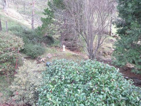 16267 Brewer Rd, Grass Valley, CA 95949 photo 12