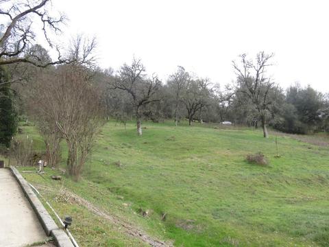 16267 Brewer Rd, Grass Valley, CA 95949 photo 29
