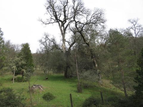 16267 Brewer Rd, Grass Valley, CA 95949 photo 11