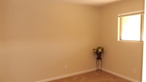 313 Rafael Dr, Elverta, CA 95626 photo 13