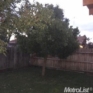 721 Rutledge Dr, Lodi, CA 95242 photo 5