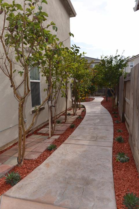 1206 Imperial Lily Dr, Patterson, CA 95363 photo 25