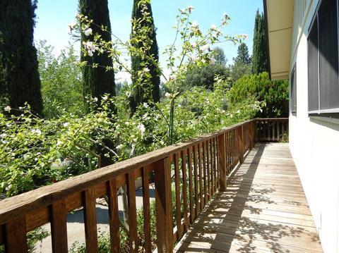 2801 Pleasant St, Placerville, CA 95667 photo 5