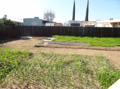 16407 Bizzibe St, Lathrop, CA 95330 photo 24