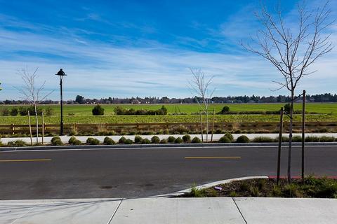 1713 Cannery Loop, Davis, CA 95616 photo 21