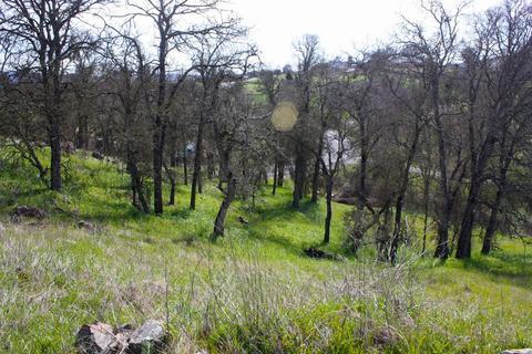 1795 Choctaw Rd, Copperopolis, CA 95228 photo 3