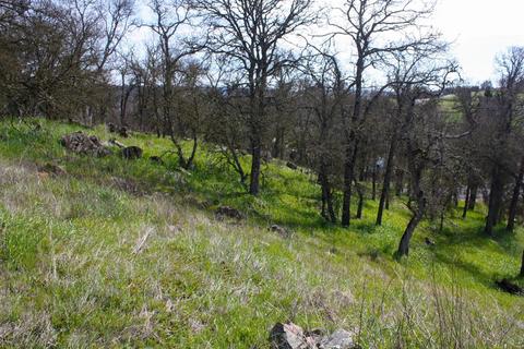 1795 Choctaw Rd, Copperopolis, CA 95228 photo 2