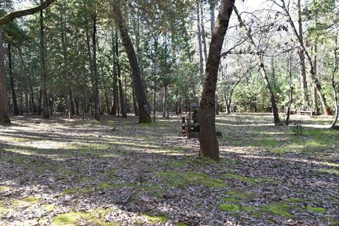 12945 Eldel Rd, Pine Grove, CA 95665 photo 13