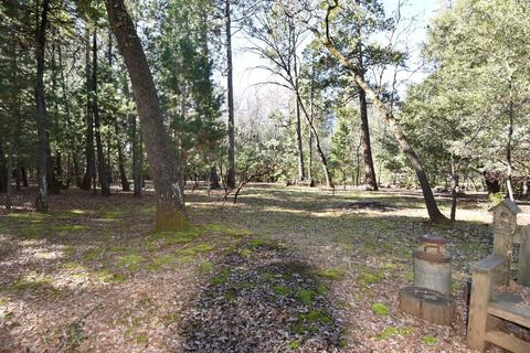 12945 Eldel Rd, Pine Grove, CA 95665 photo 14