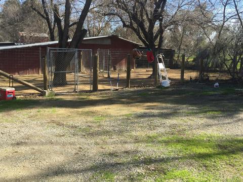 26355 County Road 96, Davis, CA 95616 photo 4