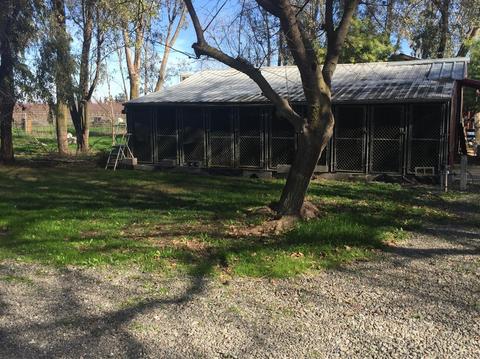 26355 County Road 96, Davis, CA 95616 photo 31