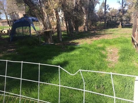 26355 County Road 96, Davis, CA 95616 photo 22