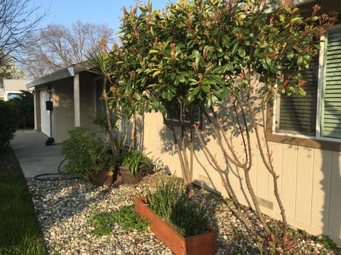 6537 Madison Ave, Carmichael, CA 95608 photo 4