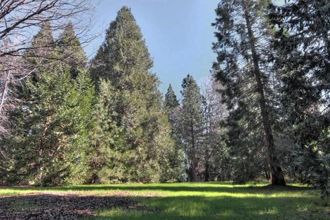 2800 Quiet Pl, Georgetown, CA 95634 photo 8