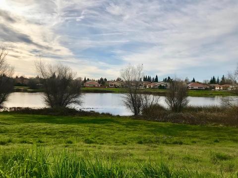 308 Marsh Hawk Dr, Folsom, CA 95630 photo 27