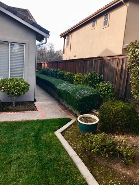 308 Marsh Hawk Dr, Folsom, CA 95630 photo 21
