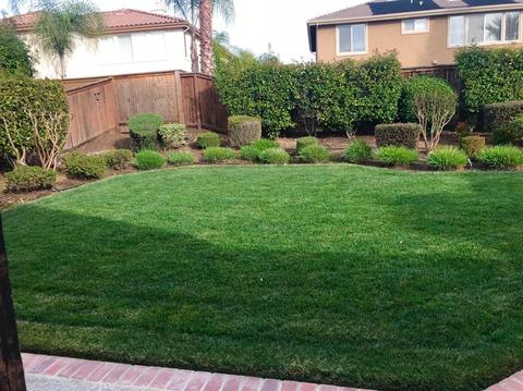 308 Marsh Hawk Dr, Folsom, CA 95630 photo 22