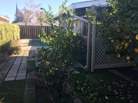 345 E Tuolumne Rd, Turlock, CA 95382 photo 17