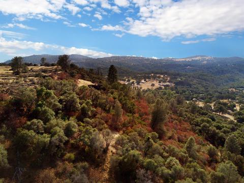 19450 Rocky Rd, Sonora, CA 95370 photo 11