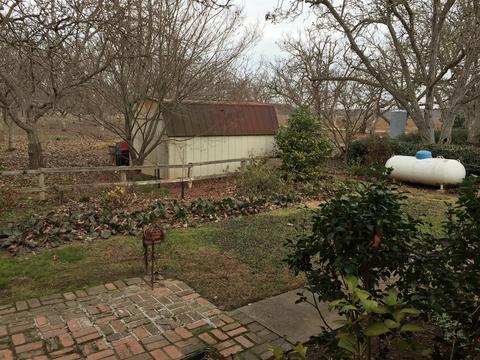 14599 Eight Mile Rd, Linden, CA 95236 photo 13