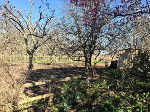 14599 Eight Mile Rd, Linden, CA 95236 photo 18