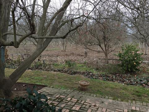 14599 Eight Mile Rd, Linden, CA 95236 photo 15