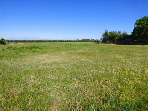 6842 Crows Landing Rd, Ceres, CA 95307 photo 20