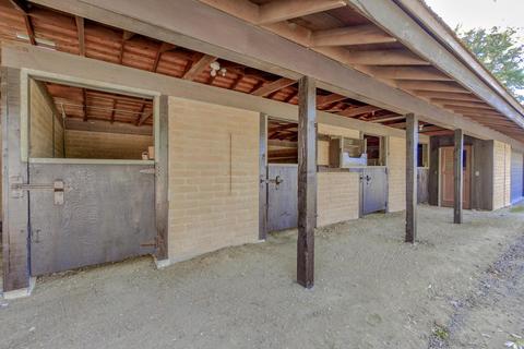 28614 Alta Vista Dr, Winters, CA 95694 photo 4