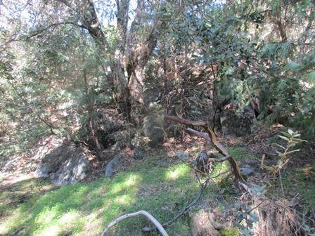16597 Creekside Dr, Sonora, CA 95370 photo 13