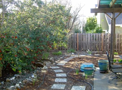 2216 Shenandoah Pl, Davis, CA 95616 photo 31