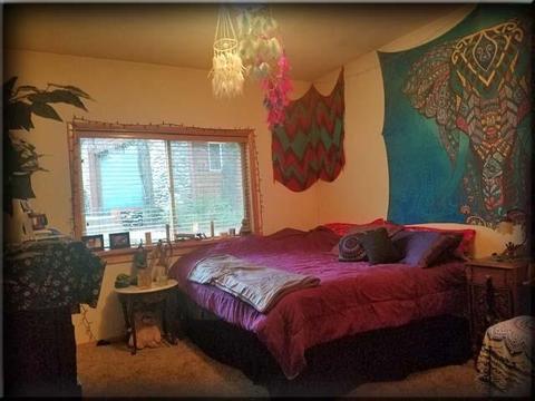 1731 Tai Pan Dr, Placerville, CA 95667 photo 16