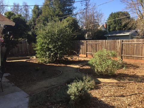 1327 Locust Pl, Davis, CA 95618 photo 18