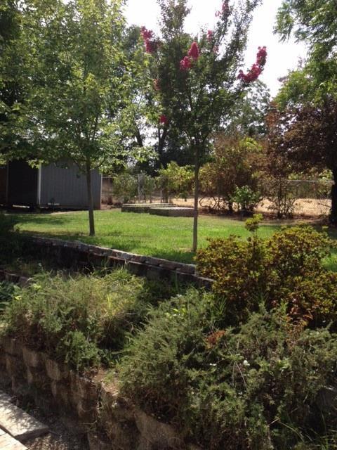 4019 Marshall Ave, Carmichael, CA 95608 photo 13