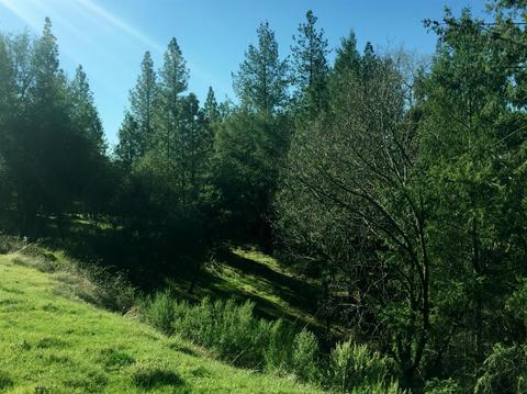 3234 Wasatch Rd, Placerville, CA 95667 photo 3