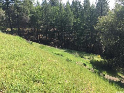 3234 Wasatch Rd, Placerville, CA 95667 photo 5