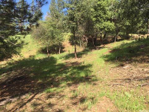 3234 Wasatch Rd, Placerville, CA 95667 photo 8