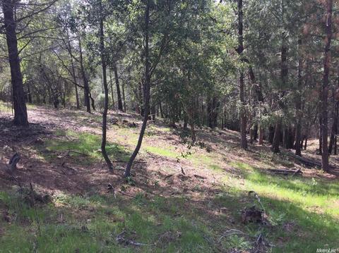 3234 Wasatch Rd, Placerville, CA 95667 photo 9