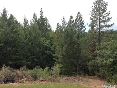 3234 Wasatch Rd, Placerville, CA 95667 photo 12
